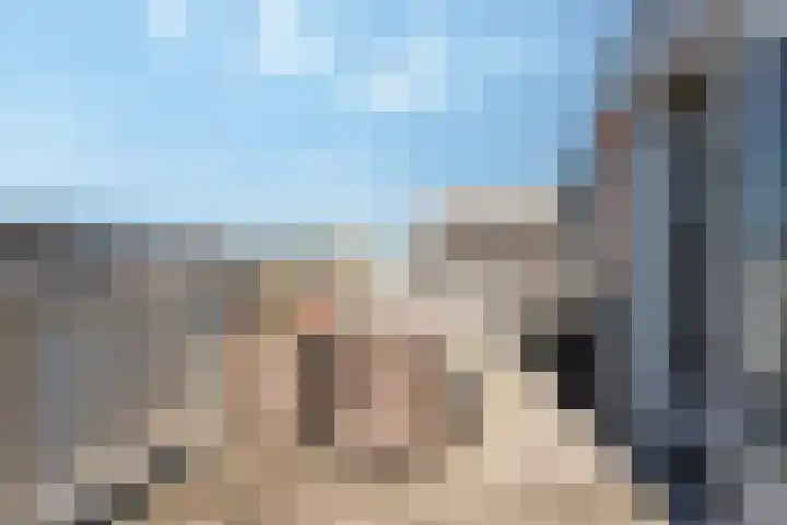 Van Loostraat 21 Den Haag thumbnail 28
