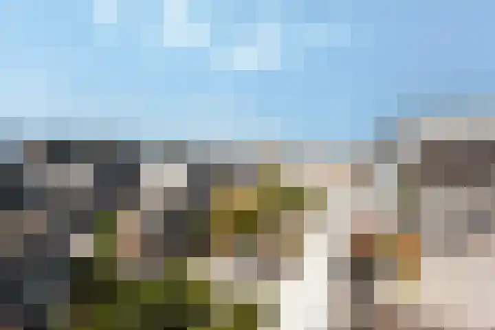 Van Loostraat 21 Den Haag thumbnail 5