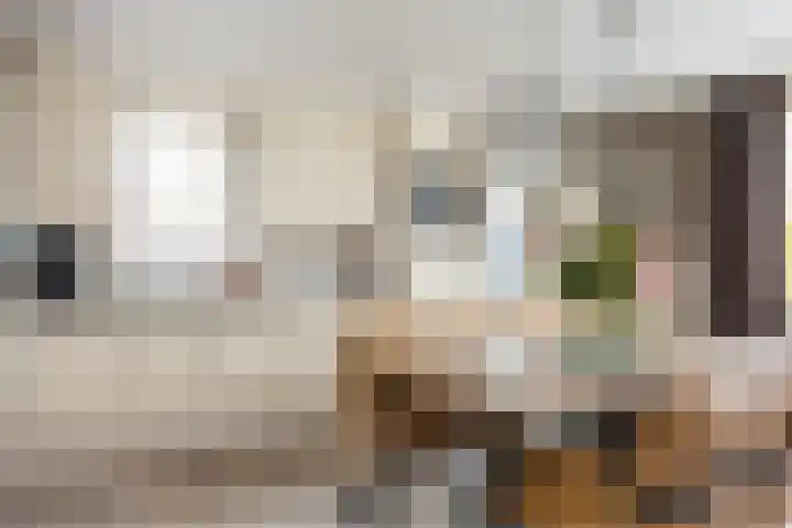 van Loostraat 23 Ootmarsum thumbnail 13