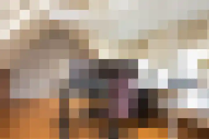 van Loostraat 23 Ootmarsum thumbnail 31