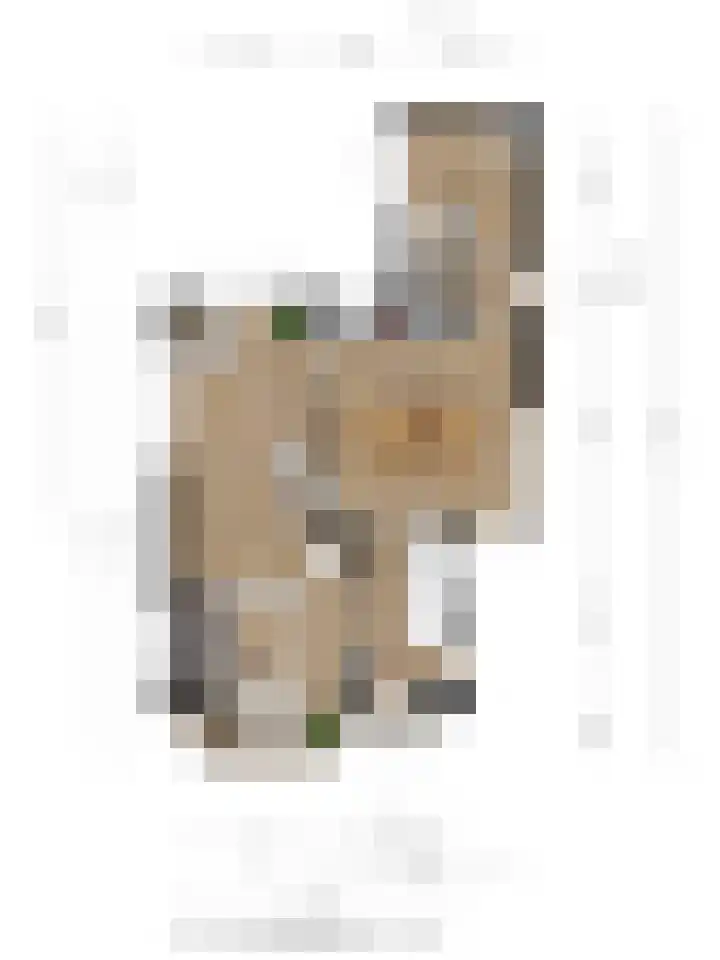 van Loostraat 23 Ootmarsum thumbnail 33