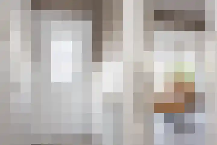 van Loostraat 23 Ootmarsum thumbnail 6