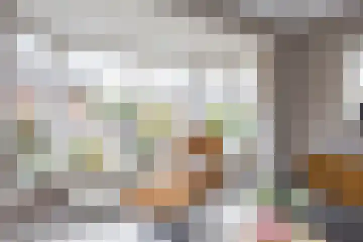 van Loostraat 23 Ootmarsum thumbnail 8