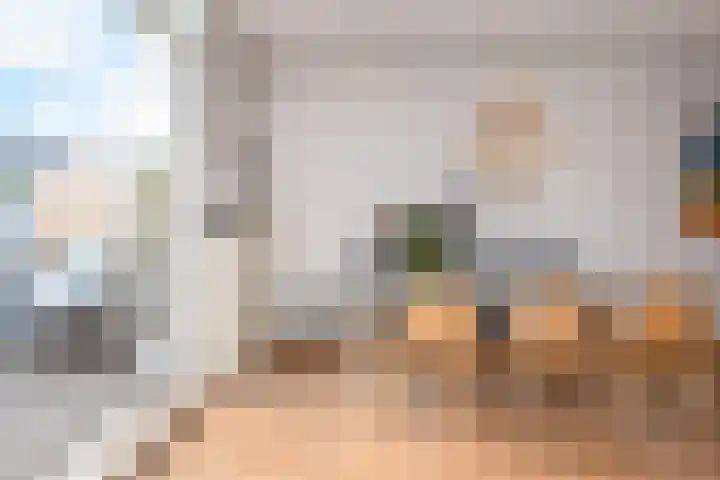 Van Loostraat 30 A Den Haag thumbnail 11