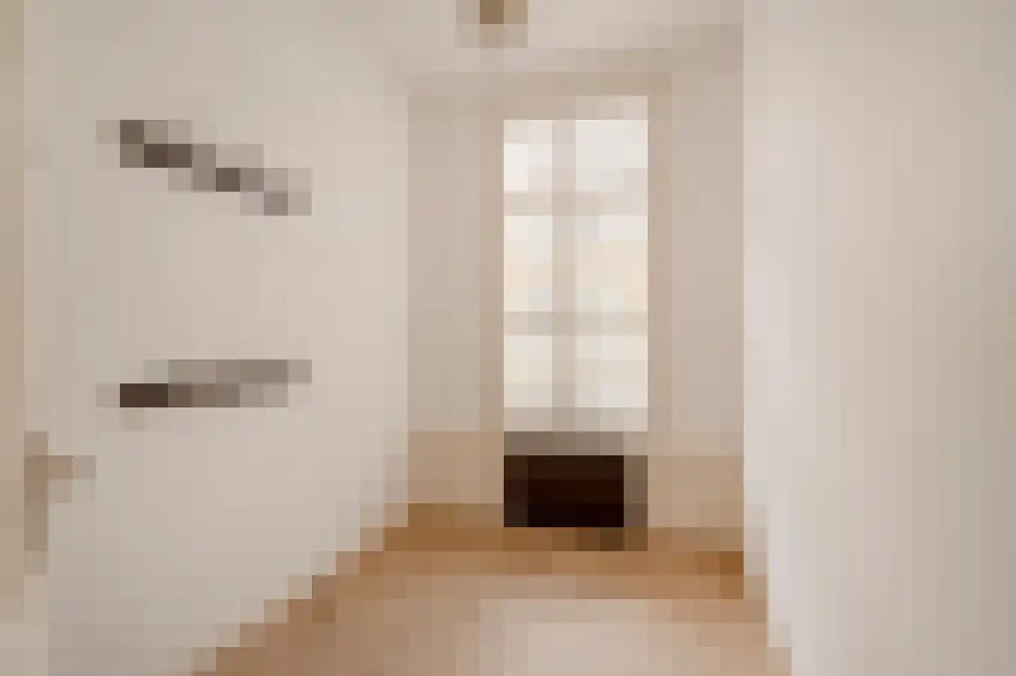 Van Loostraat 36 Den Haag thumbnail 18
