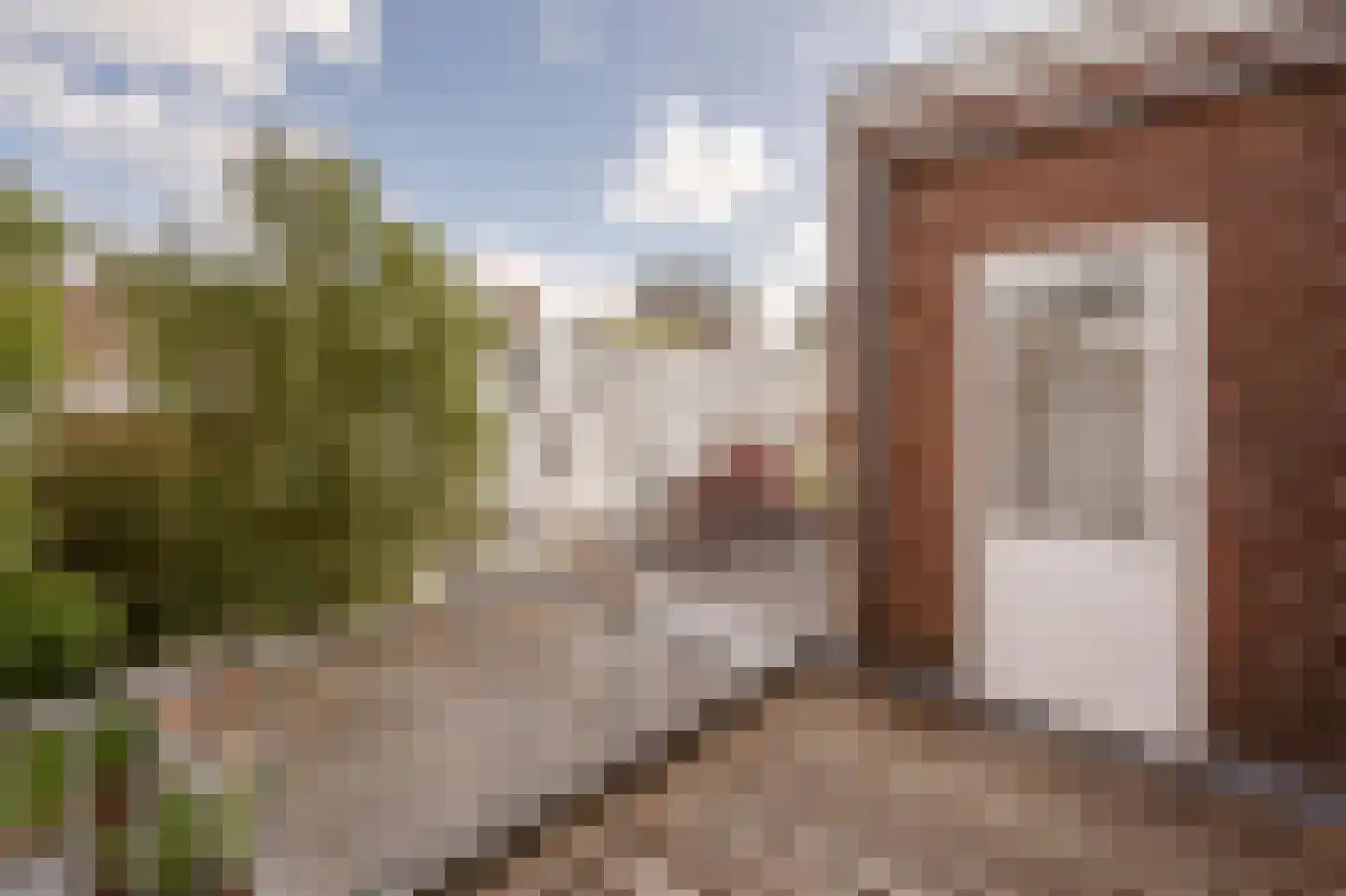 Van Loostraat 36 Den Haag thumbnail 25