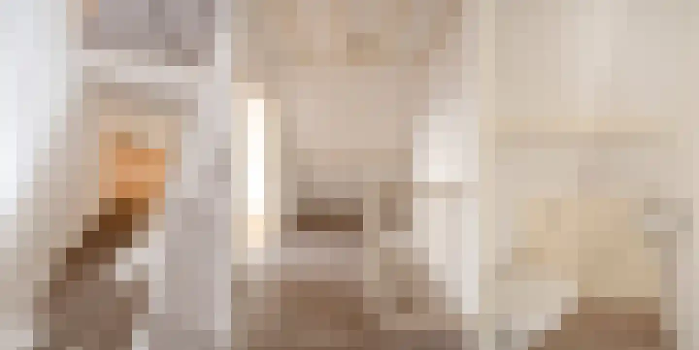 Van Loostraat 36 Den Haag thumbnail 32