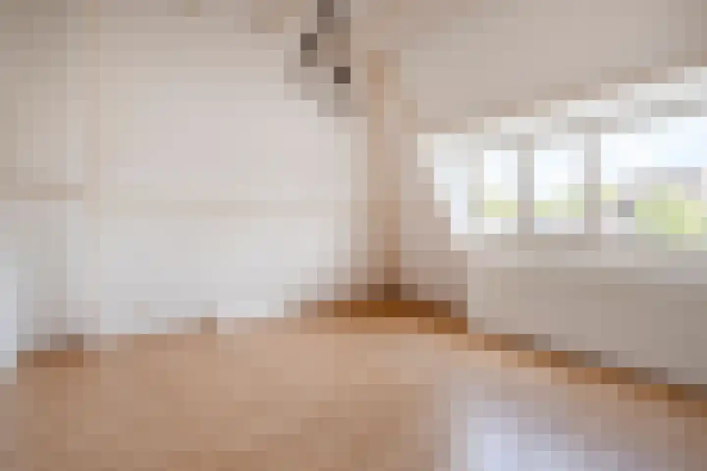 Van Loostraat 36 Den Haag thumbnail 35