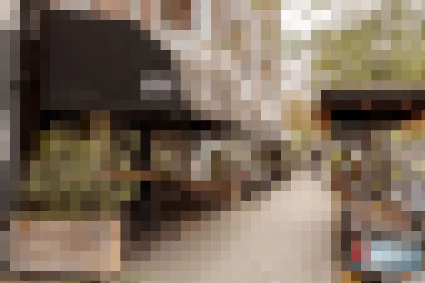 Van Loostraat 36 Den Haag thumbnail 45