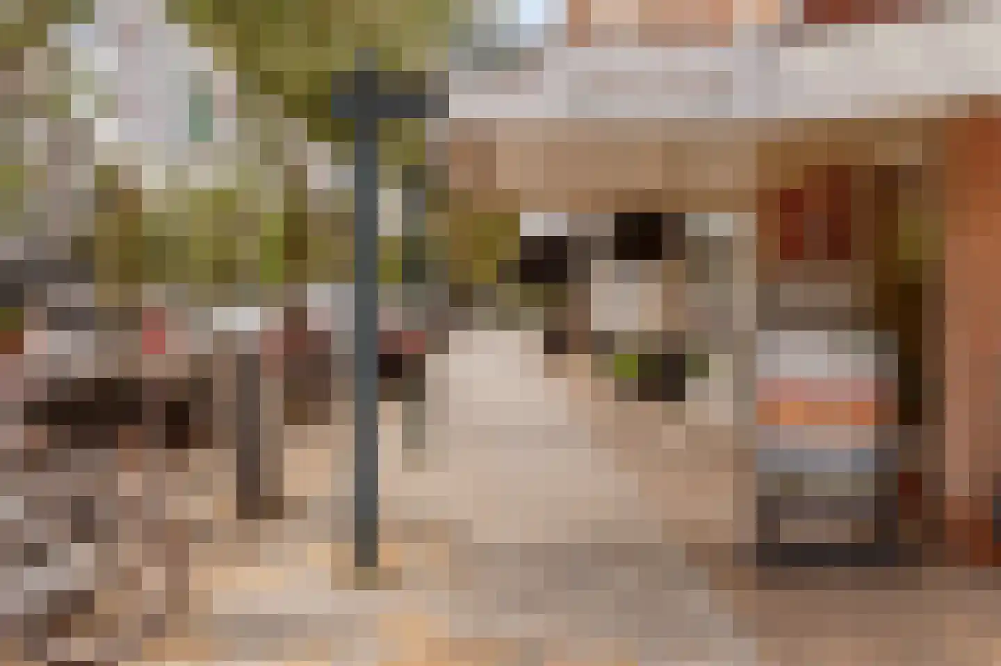 Van Loostraat 36 Den Haag thumbnail 46