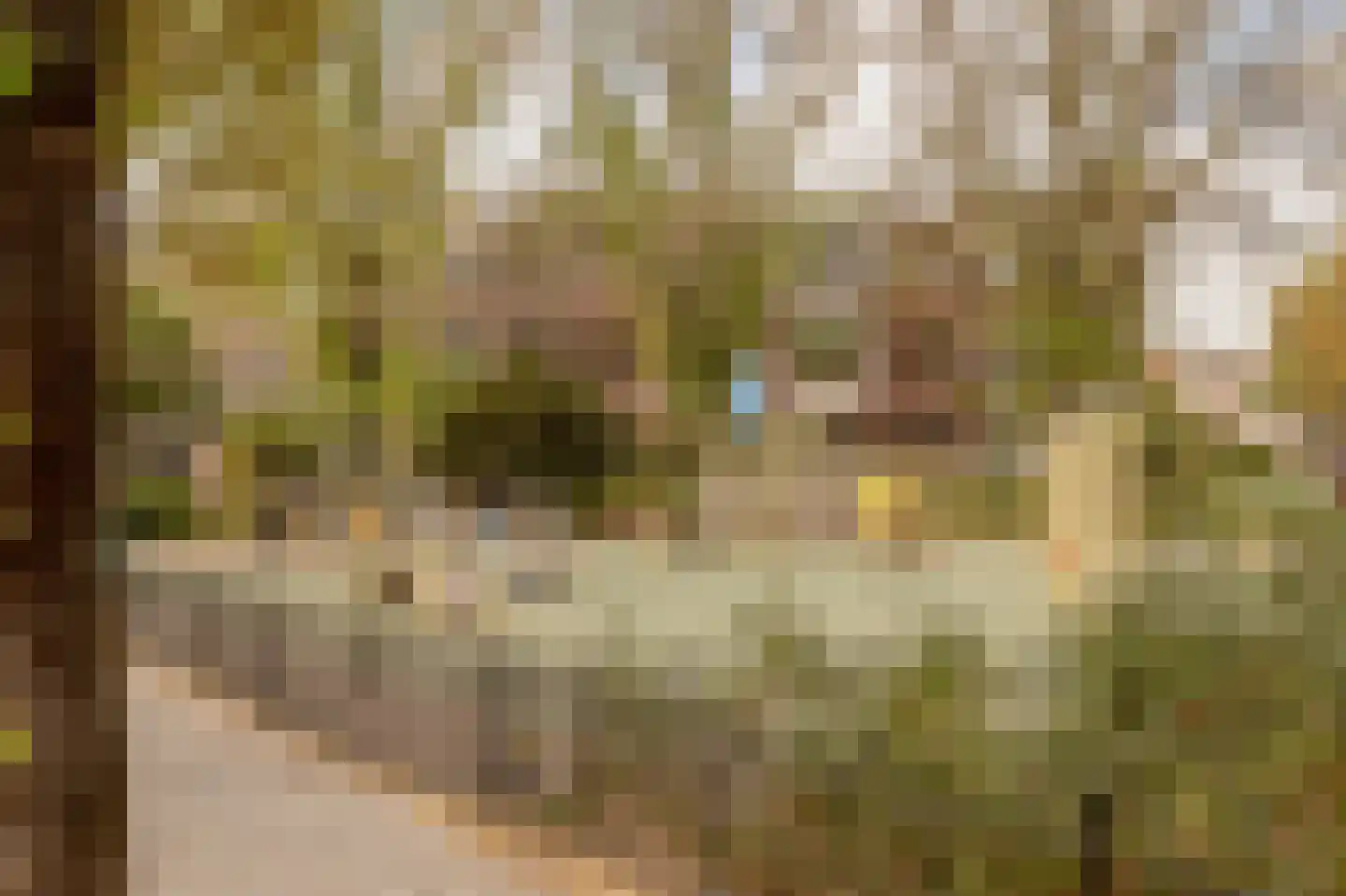 Van Loostraat 36 Den Haag thumbnail 49