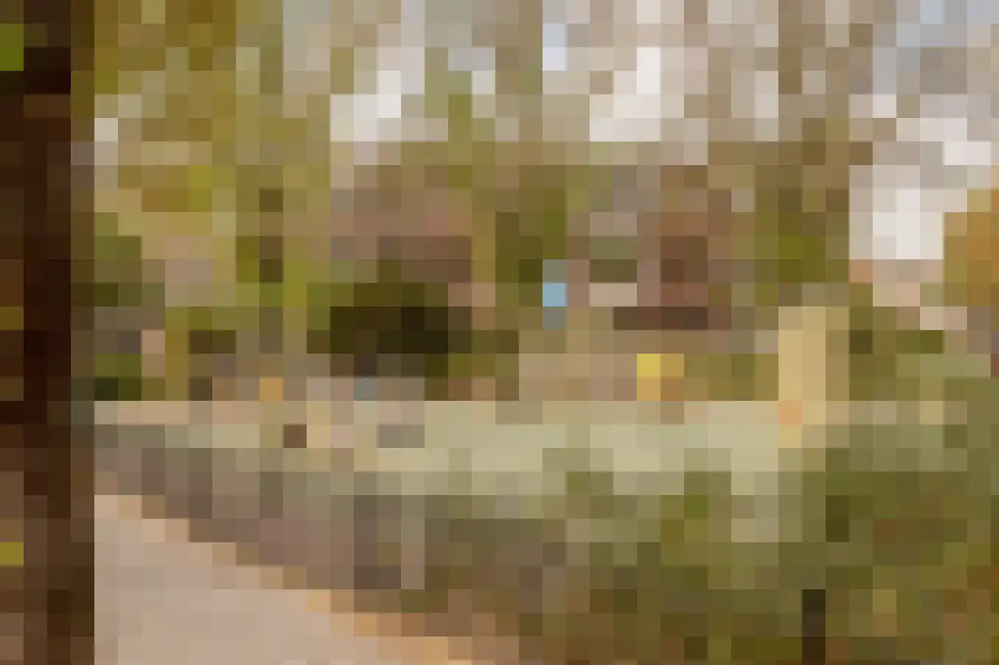 Van Loostraat 36 Den Haag thumbnail 49