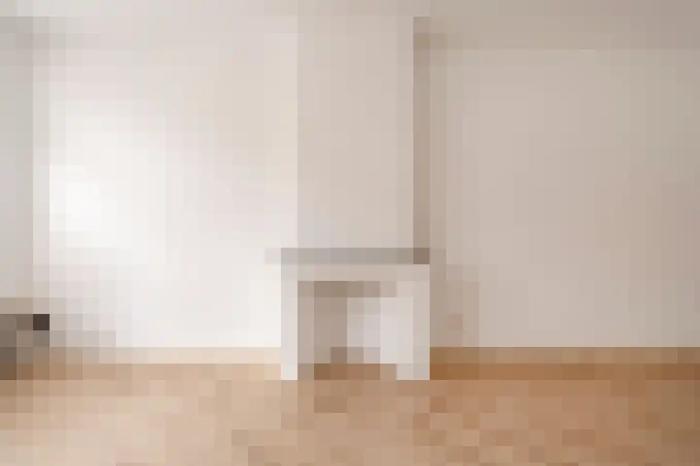 Van Loostraat 36 Den Haag thumbnail 8