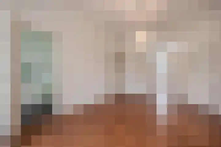 Van Loostraat 4 Den Haag thumbnail 10