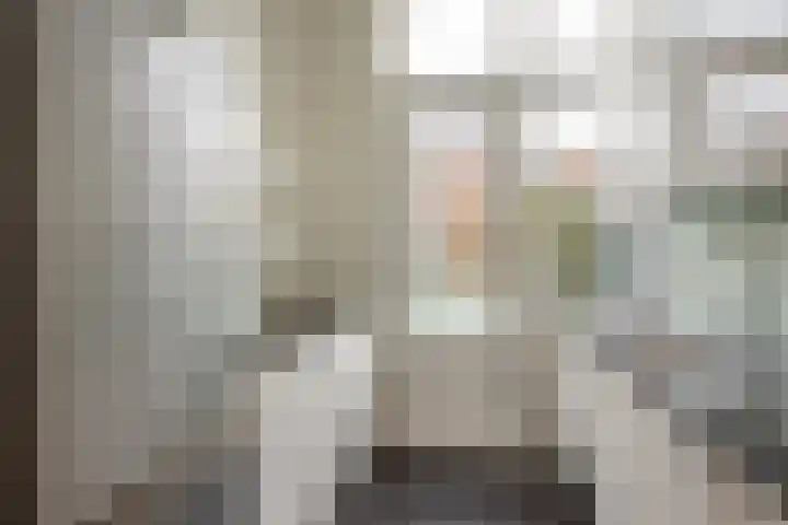 Van Loostraat 4 Den Haag thumbnail 11