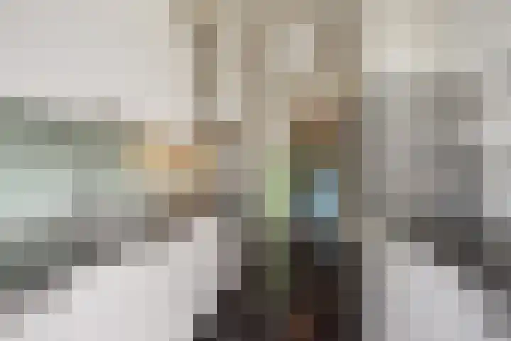 Van Loostraat 4 Den Haag thumbnail 13