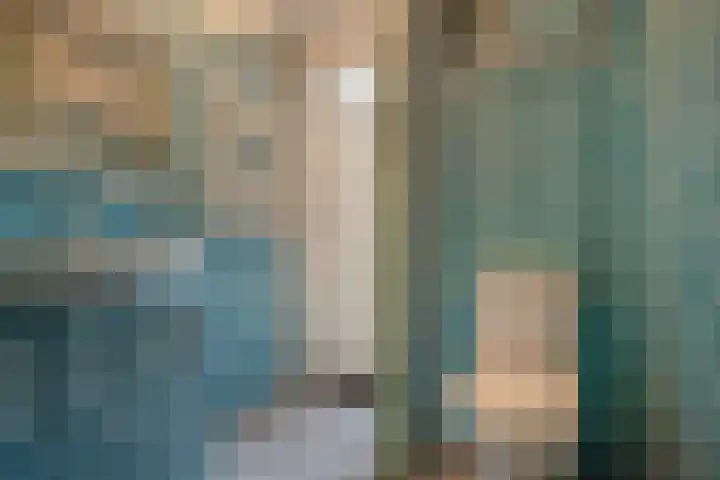Van Loostraat 4 Den Haag thumbnail 16
