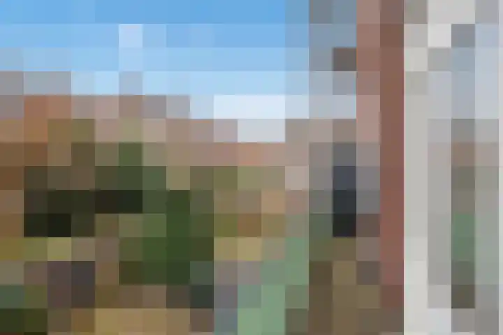 Van Loostraat 4 Den Haag thumbnail 4