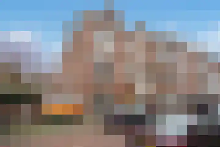 Van Loostraat 4 Den Haag thumbnail 5