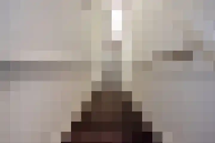 Van Loostraat 4 Den Haag thumbnail 6