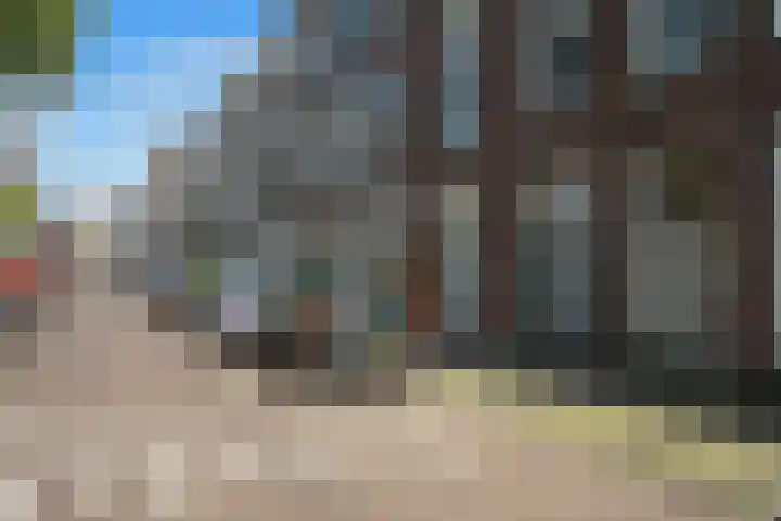 Van Loostraat 50 Den Haag thumbnail 33
