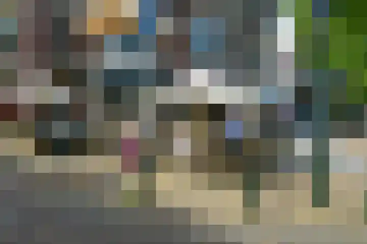 Van Loostraat 50 Den Haag thumbnail 40