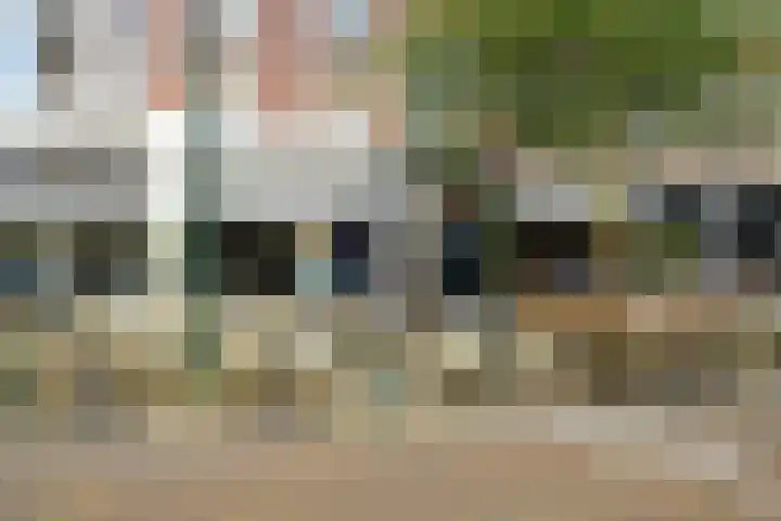Van Loostraat 50 Den Haag thumbnail 42
