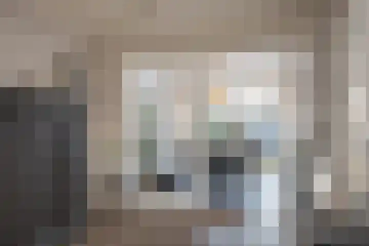van Loostraat 6 Ootmarsum thumbnail 10