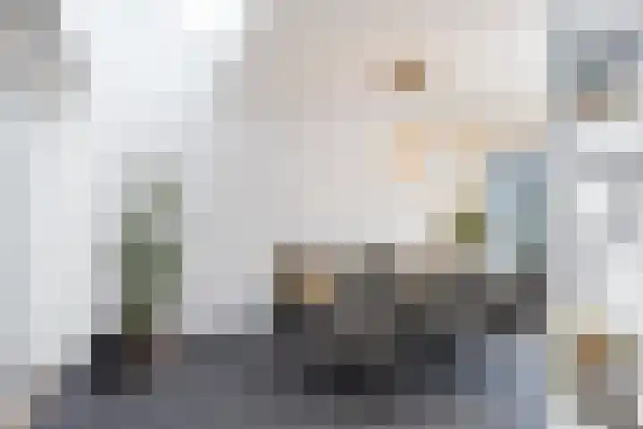 van Loostraat 6 Ootmarsum thumbnail 12