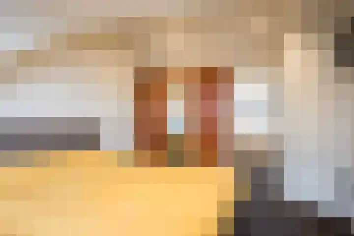 van Loostraat 6 Ootmarsum thumbnail 20