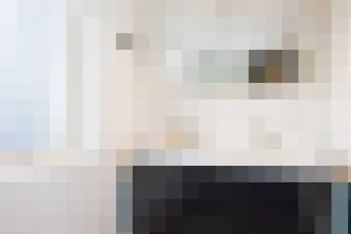 van Loostraat 6 Ootmarsum thumbnail 25