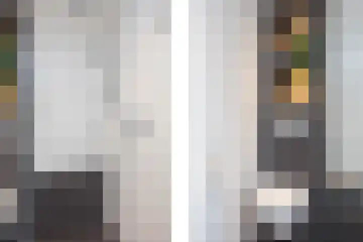 van Loostraat 6 Ootmarsum thumbnail 26