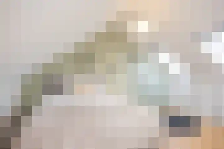 van Loostraat 6 Ootmarsum thumbnail 27