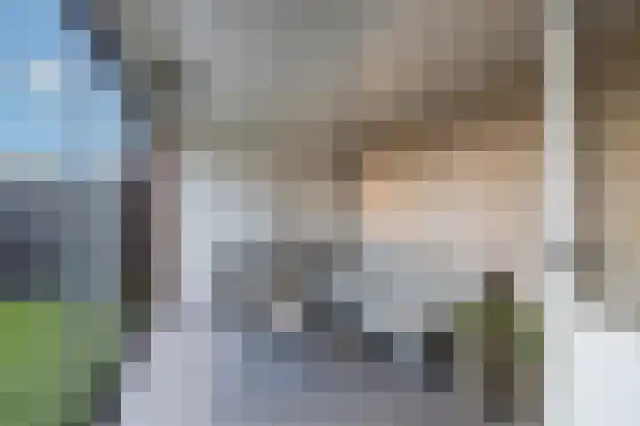 van Loostraat 6 Ootmarsum thumbnail 30