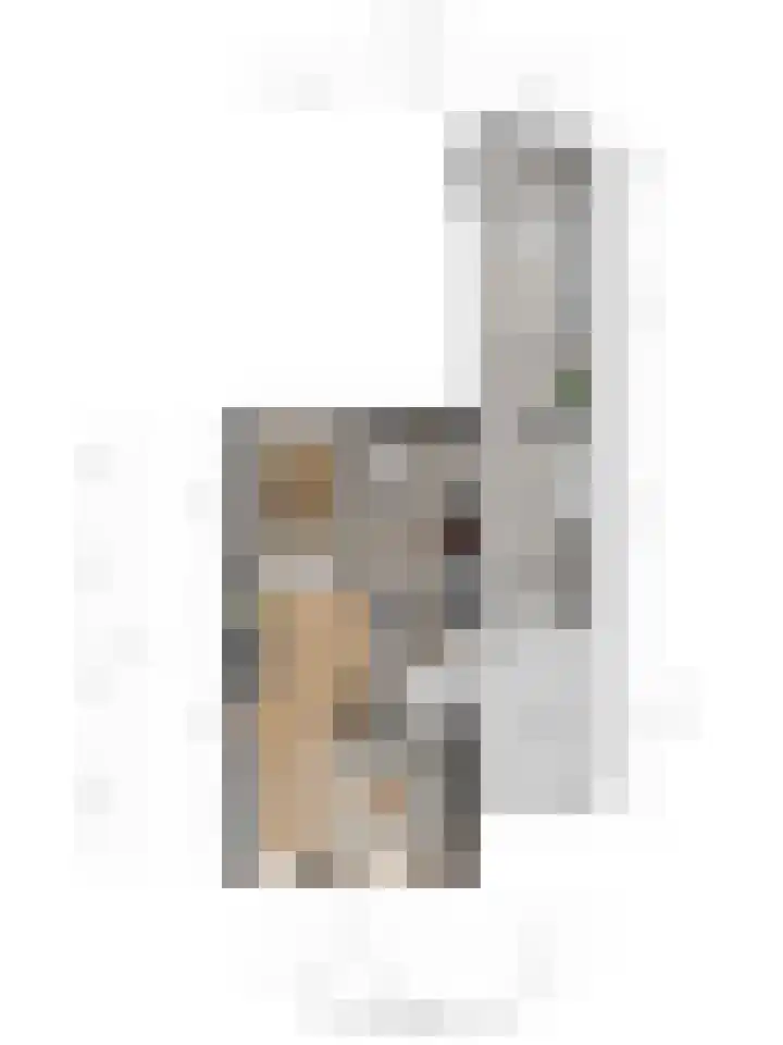 van Loostraat 6 Ootmarsum thumbnail 38
