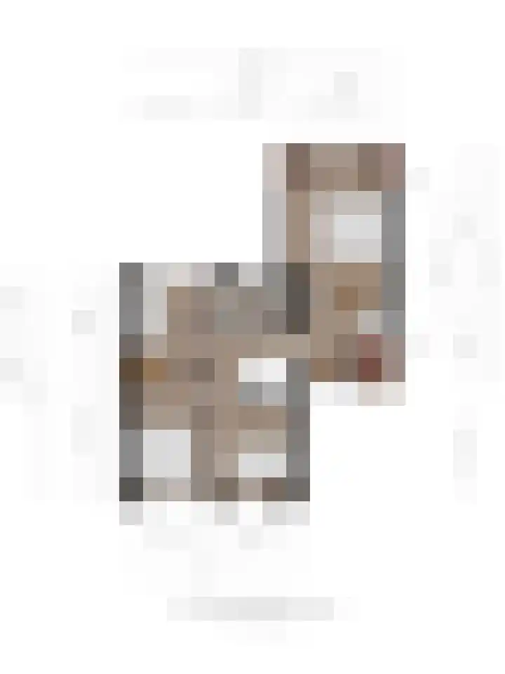 van Loostraat 6 Ootmarsum thumbnail 39