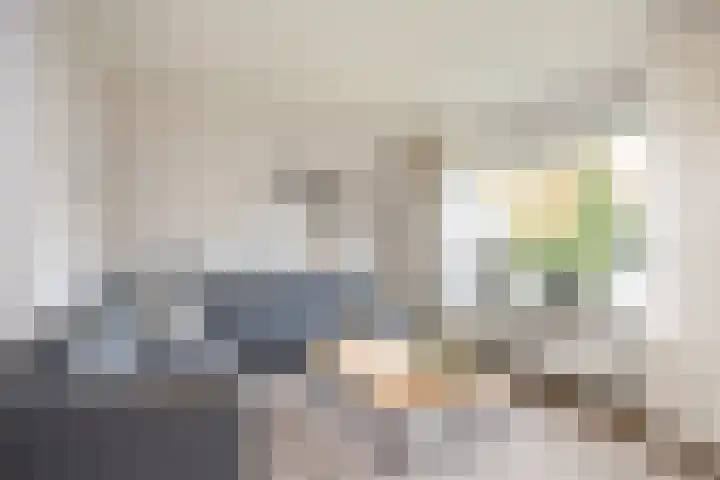 van Loostraat 6 Ootmarsum thumbnail 7