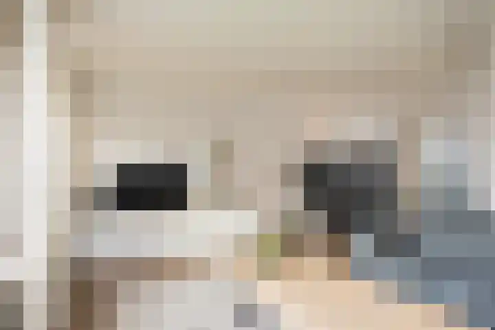 van Loostraat 6 Ootmarsum thumbnail 8
