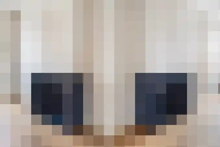 Van Loostraat 64 Den Haag thumbnail 18