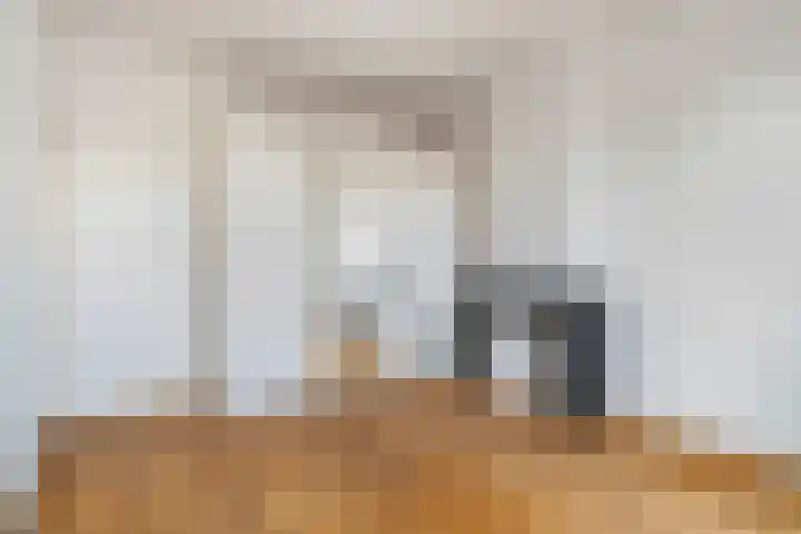 Van Loostraat 64 Den Haag thumbnail 22