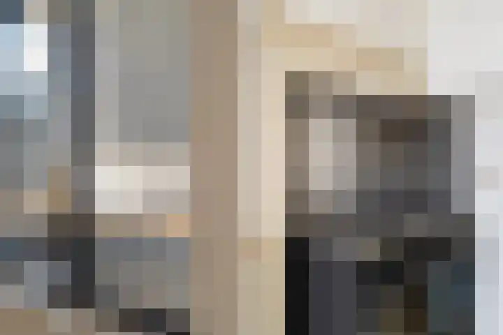 Van Loostraat 64 Den Haag thumbnail 32
