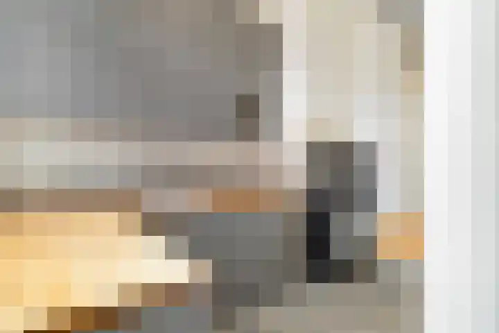 Van Loostraat 64 Den Haag thumbnail 34