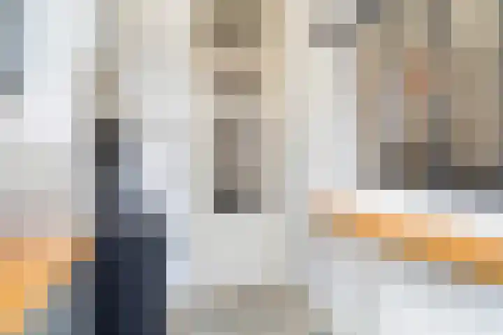Van Loostraat 64 Den Haag thumbnail 35
