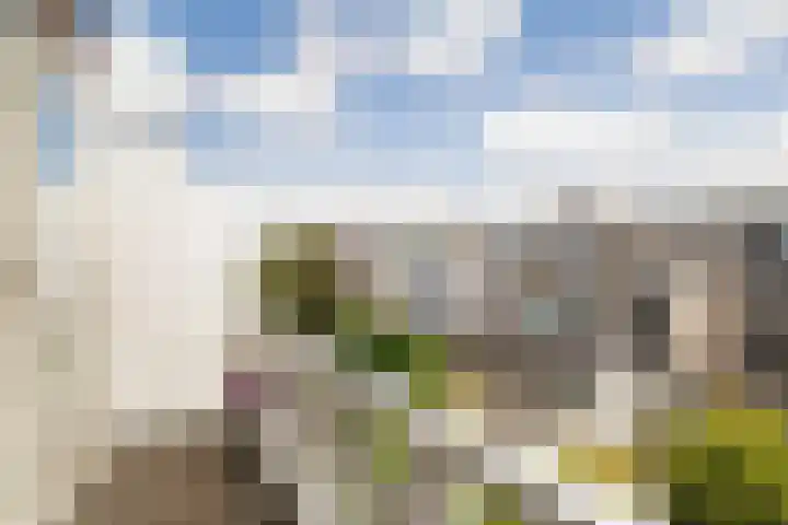 Van Loostraat 64 Den Haag thumbnail 38