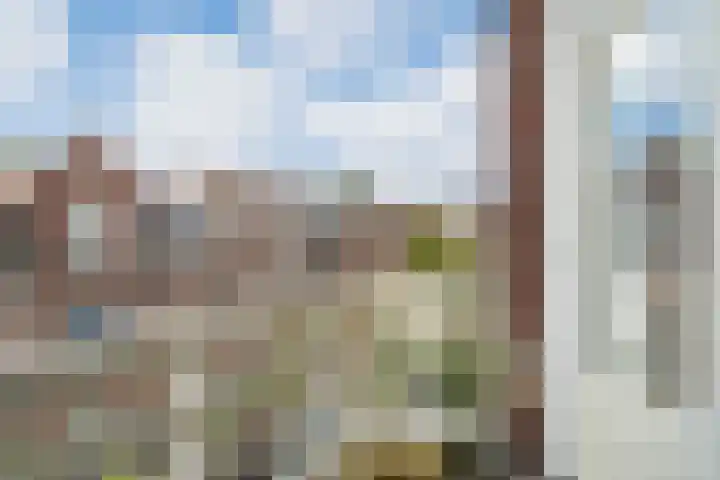 Van Loostraat 64 Den Haag thumbnail 40