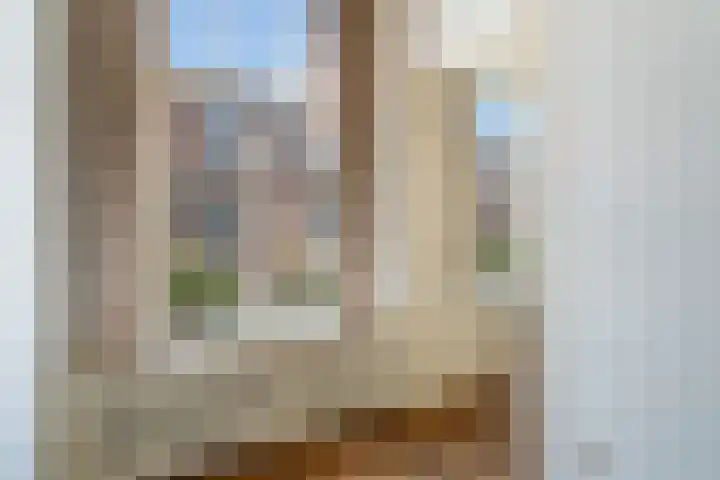 Van Loostraat 64 Den Haag thumbnail 46