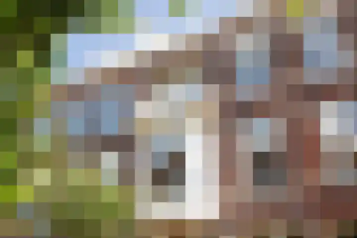 Van Loostraat 64 Den Haag thumbnail 5