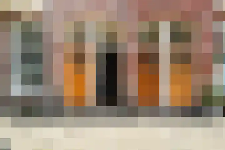 Van Loostraat 64 Den Haag thumbnail 6