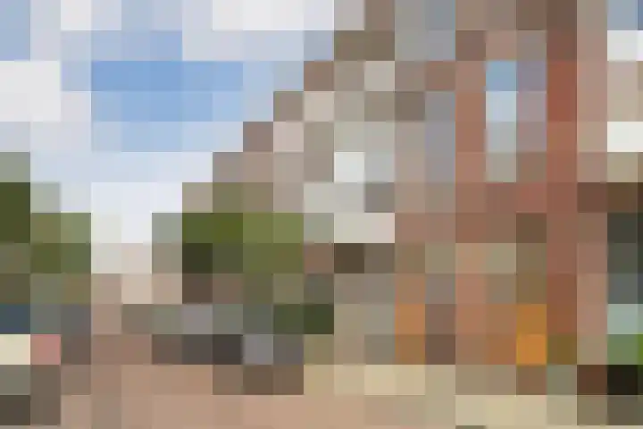 Van Loostraat 64 Den Haag thumbnail 64