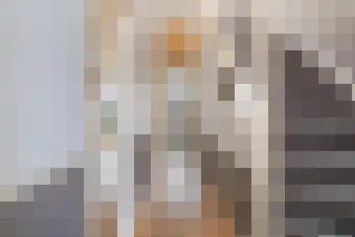 Van Loostraat 64 Den Haag thumbnail 8
